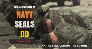 Unlocking Navy SEAL Fitness: The Push-Up Regimen Revealed