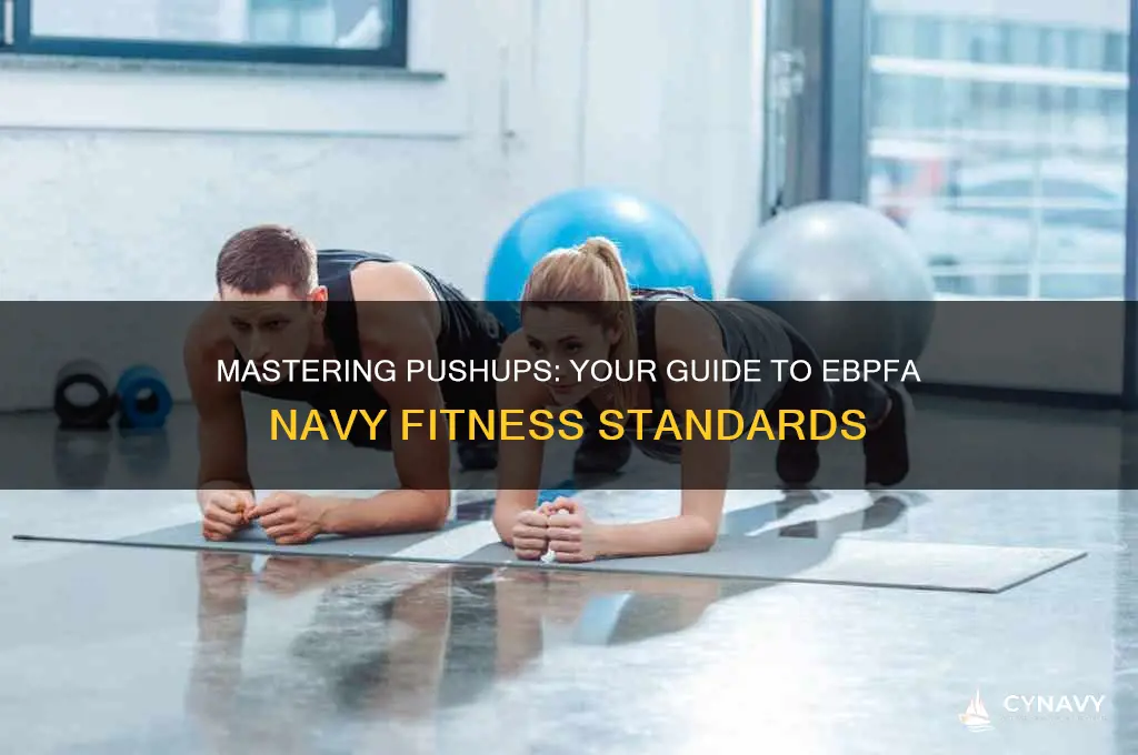 how many pushups to get ebpfa navy