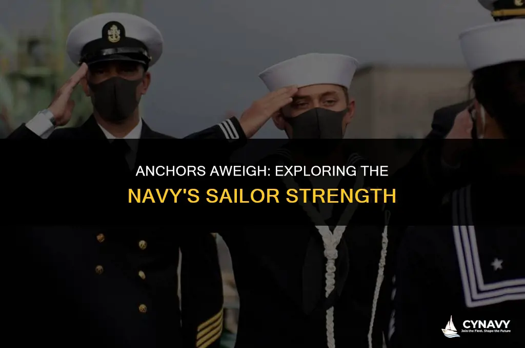 how many sailors in the navy