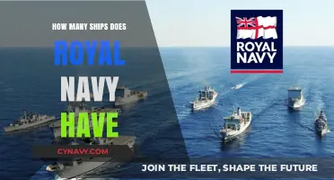 Exploring the Fleet: A Comprehensive Look at the Royal Navy's Ships