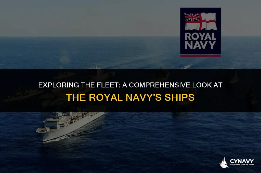 how many ships does royal navy have