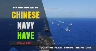 Exploring the Strength of the Chinese Navy: A Fleet Overview