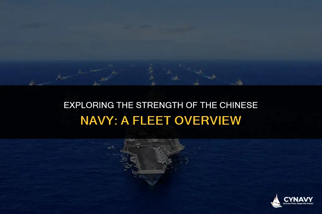 how many ships does the chinese navy have