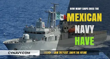Exploring the Fleet: A Comprehensive Look at Mexico's Naval Strength