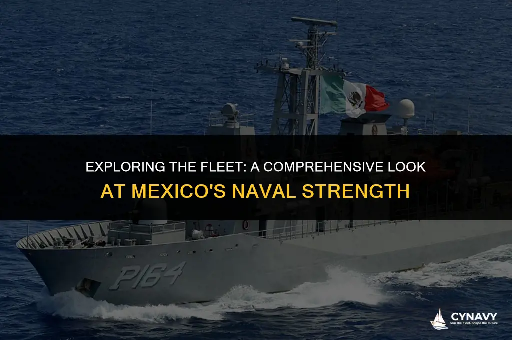 how many ships does the mexican navy have