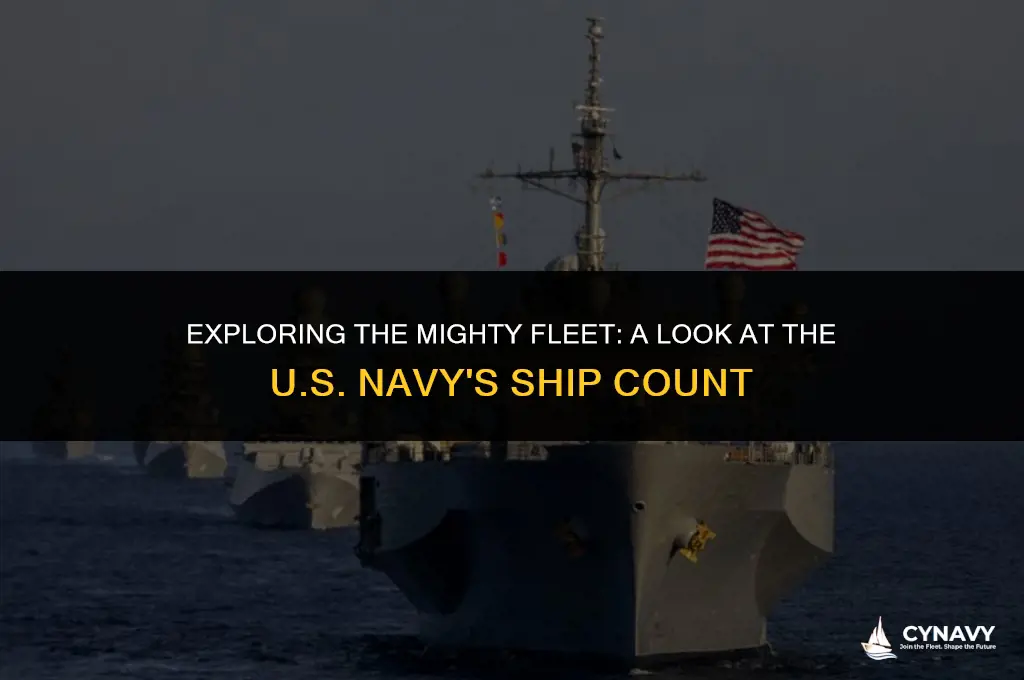 how many ships does usa have