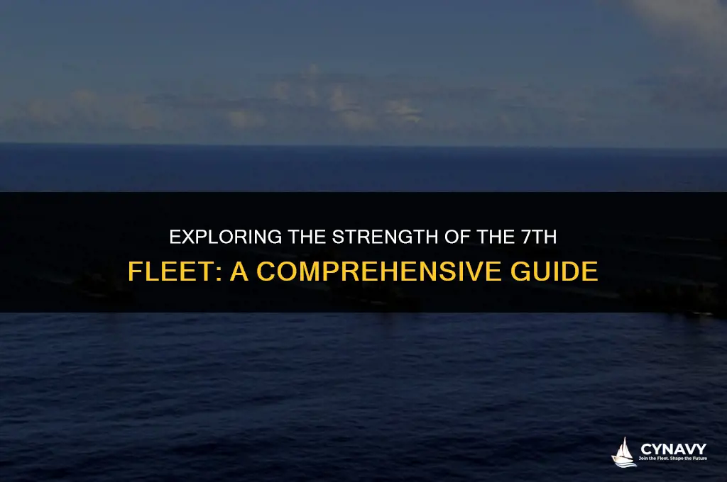 how many ships in 7th fleet