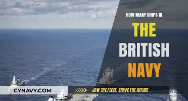 Exploring the Fleet: A Comprehensive Guide to British Naval Ships