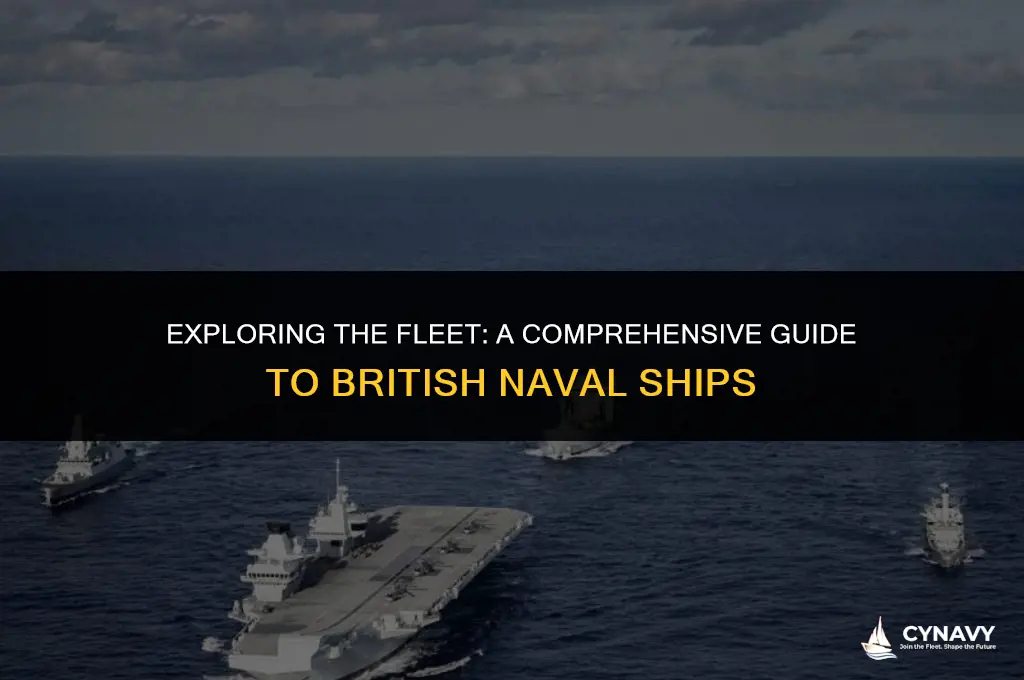 how many ships in the british navy