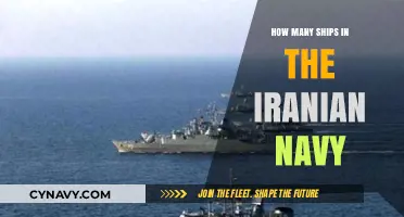 Exploring the Fleet: A Detailed Look at Iran's Naval Capabilities