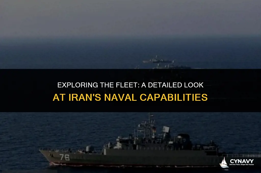 how many ships in the iranian navy