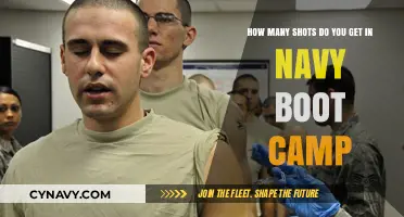 Navy Boot Camp Shots: What to Expect During Training