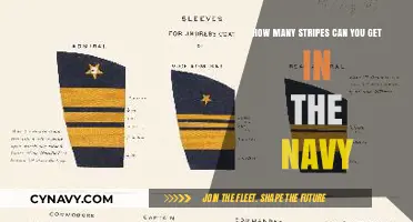 Understanding Navy Rank Stripes: A Comprehensive Guide to Insignia Count
