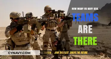 Exploring the Elite: Inside the Structure of US Navy SEAL Teams