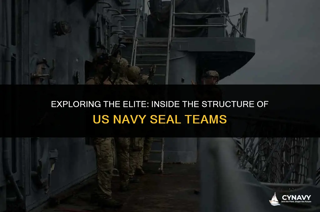 how many us navy seal teams are there