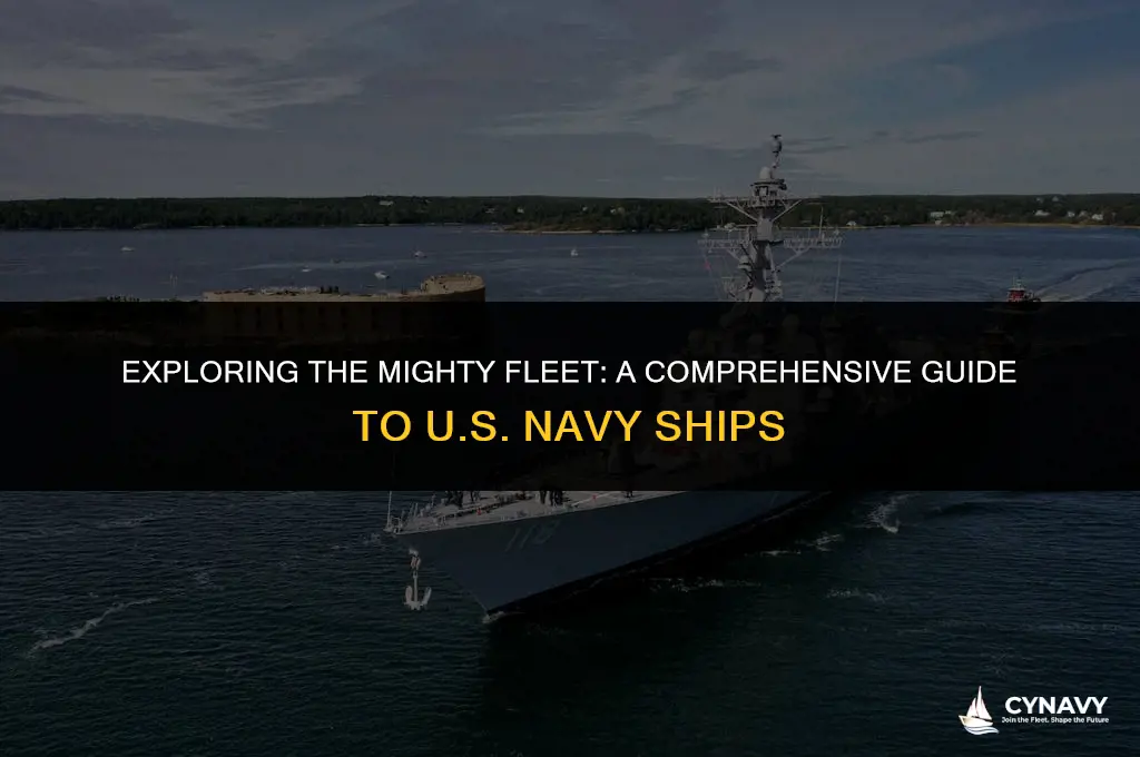 how many us navy ships are there