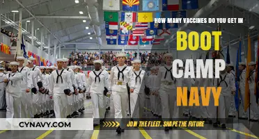 Navy Boot Camp Vaccines: What to Expect and How Many You'll Receive