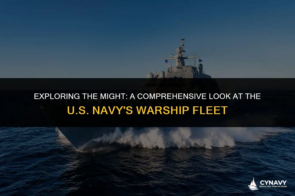 how many warships does us have