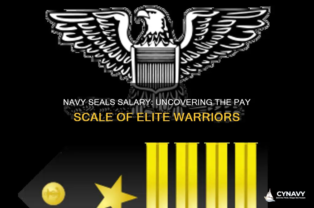 how mauch do navy seals get paid