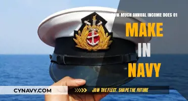 Decoding the Pay Scale: Annual Income Insights for O1 in the Navy