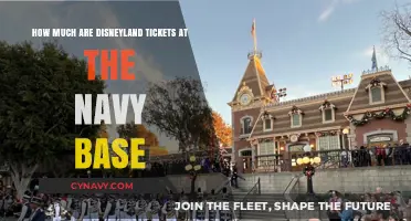 Discover the Magic: Disneyland Tickets at Navy Base Prices