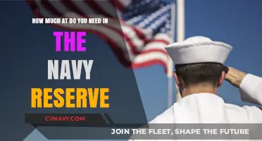 Unlocking Financial Freedom: A Guide to Navy Reserve Compensation