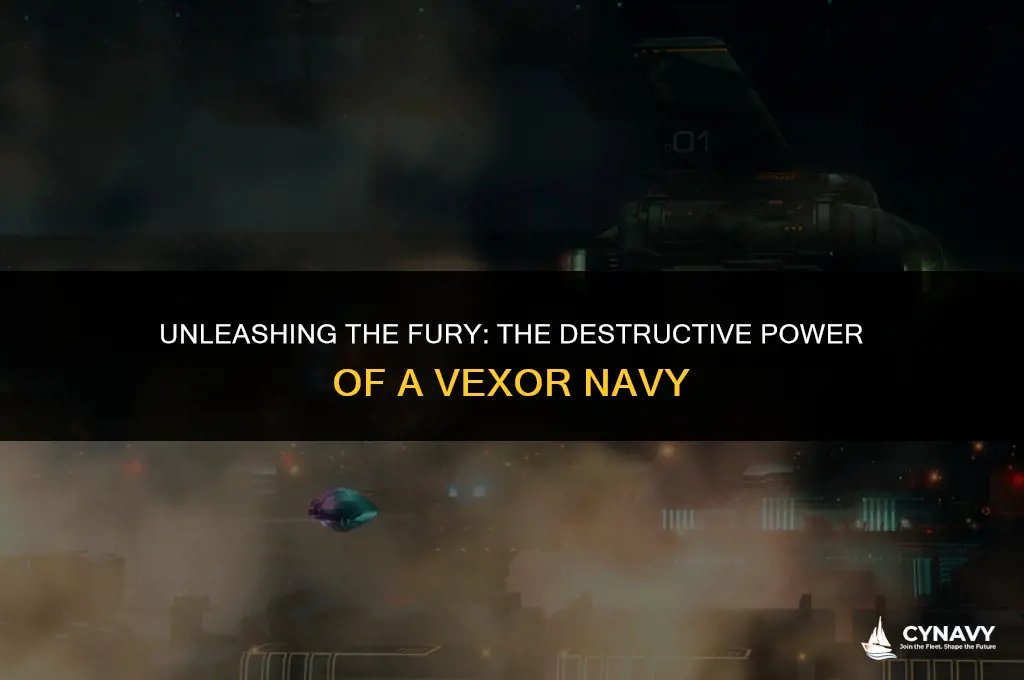 how much damage does a vexor navy issue do