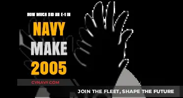 Salary Insights: E-1 Enlisted Personnel in the Navy, 2005