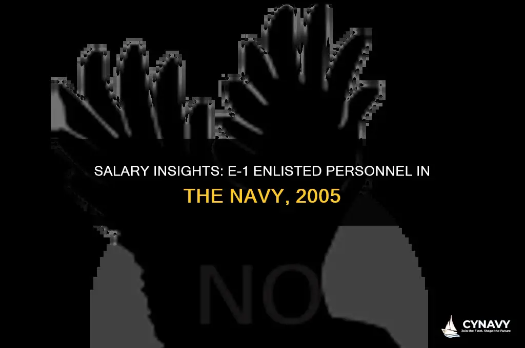 how much did an e-1 in navy make 2005