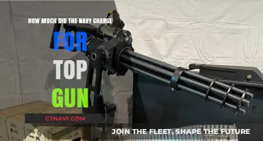 The High Cost of Heroism: Navy's Top Gun Program Expenses Revealed
