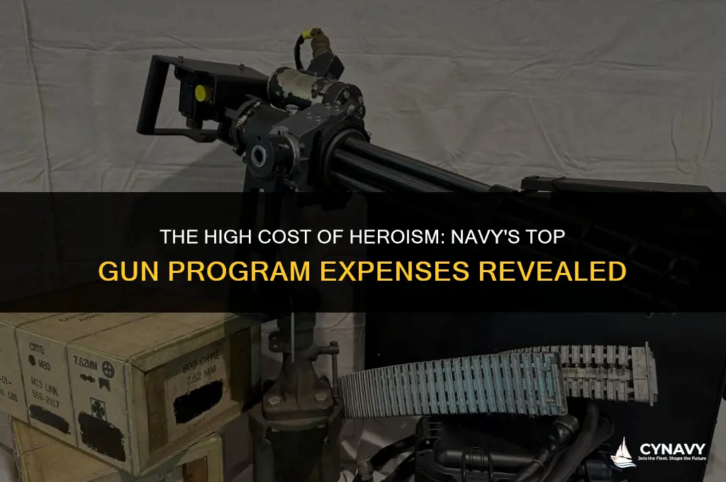 how much did the navy charge for top gun
