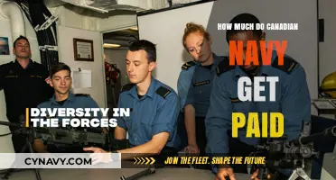 Exploring the Compensation Structure of the Canadian Navy