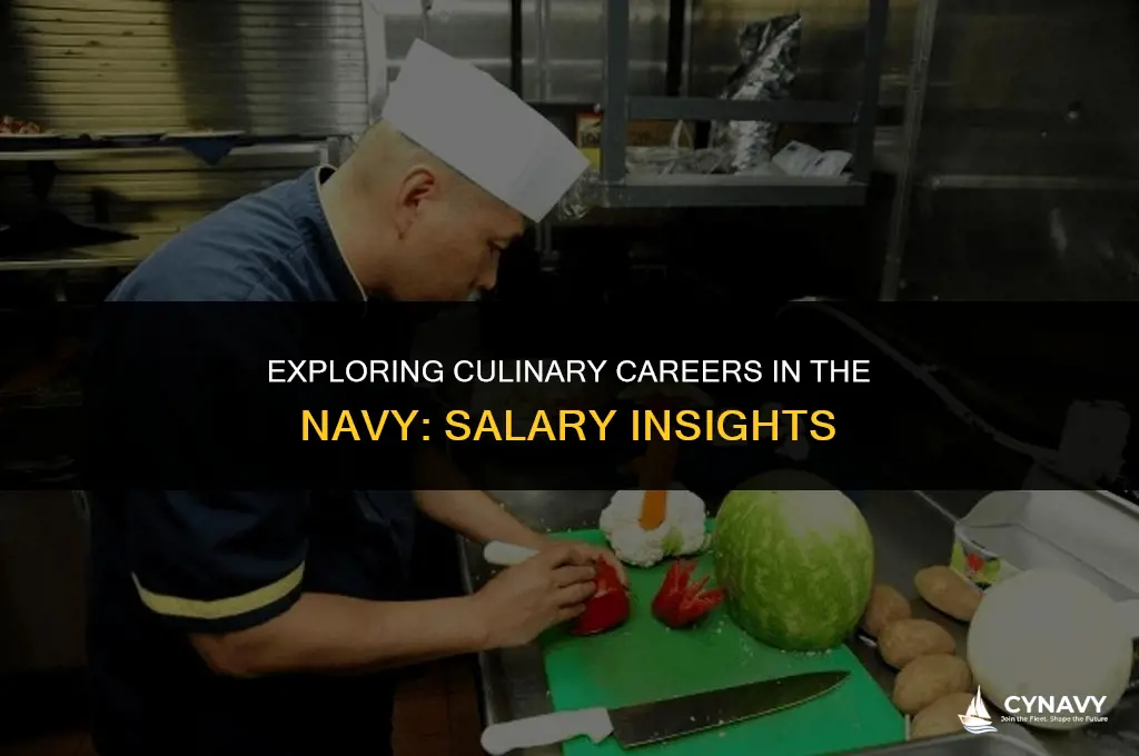 how much do culinary specialists make in the navy