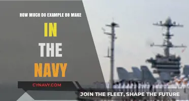 Salary Insights: What Example B8 Earn in the Navy?