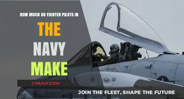 Salary Insights: Navy Fighter Pilots' Earnings Revealed