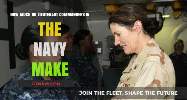 Salary Insights: Lieutenant Commanders in the Navy