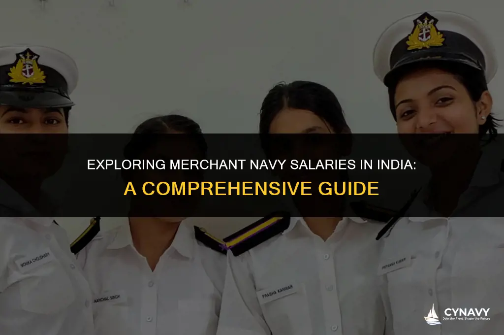 how much do merchant navy get paid in india