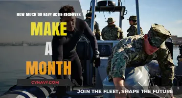Monthly Earnings of Navy Action Reserves: A Comprehensive Guide