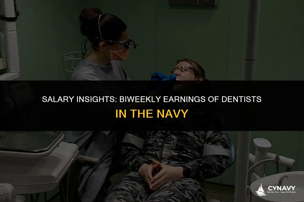 how much do navy dentists make every 2 weeks