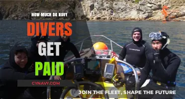 Exploring the Depths: A Look at Navy Divers' Salaries