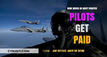 Salary Insights: Navy Fighter Pilots' Compensation Revealed