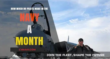 Decoding Navy Pilot Salaries: A Monthly Breakdown