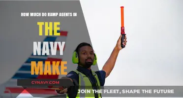 Salary Insights: Navy Ramp Agents' Earning Potential Explored