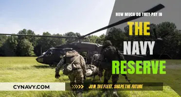 Salary Insights: Unveiling Navy Reserve Compensation Details