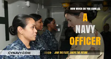 Salary Insights: A Day in the Life of a Navy Officer
