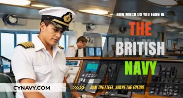 Salary Insights: Unveiling the Earnings in the British Navy