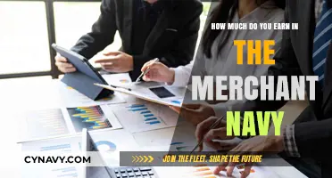 Exploring Merchant Navy Salaries: A Comprehensive Guide
