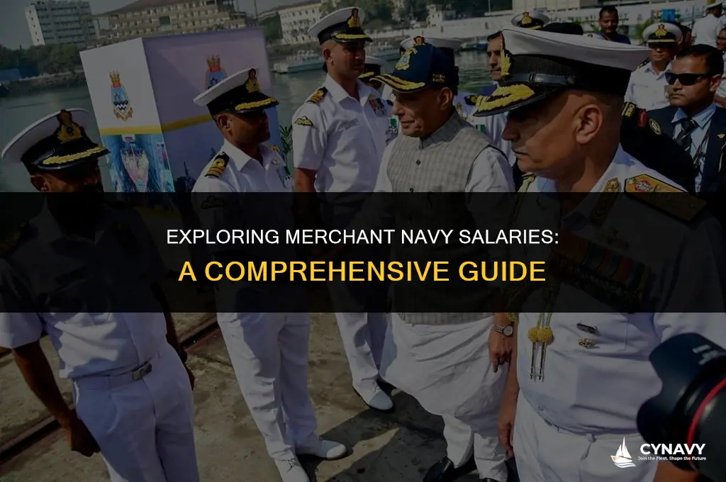 how much do you earn in the merchant navy