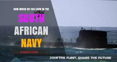 Exploring the Salary Structure of the South African Navy