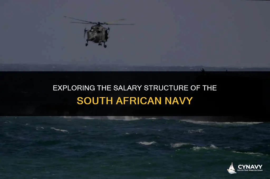 how much do you earn in the south african navy